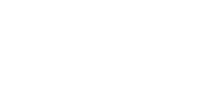 APX_master_logo